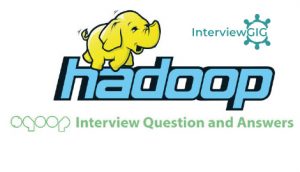 Read more about the article Hadoop Sqoop Interview Questions and Answers