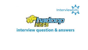 Read more about the article Hadoop HDFS Interview Questions and Answers