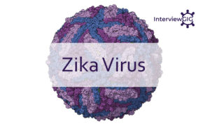 Read more about the article Zika Virus: Symptoms,Diagnosis,Treatment and Prevention