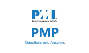 Read more about the article PMP Interview Questions and Answers