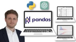 Read more about the article The Complete Pandas Bootcamp 2025: Data Science with Python