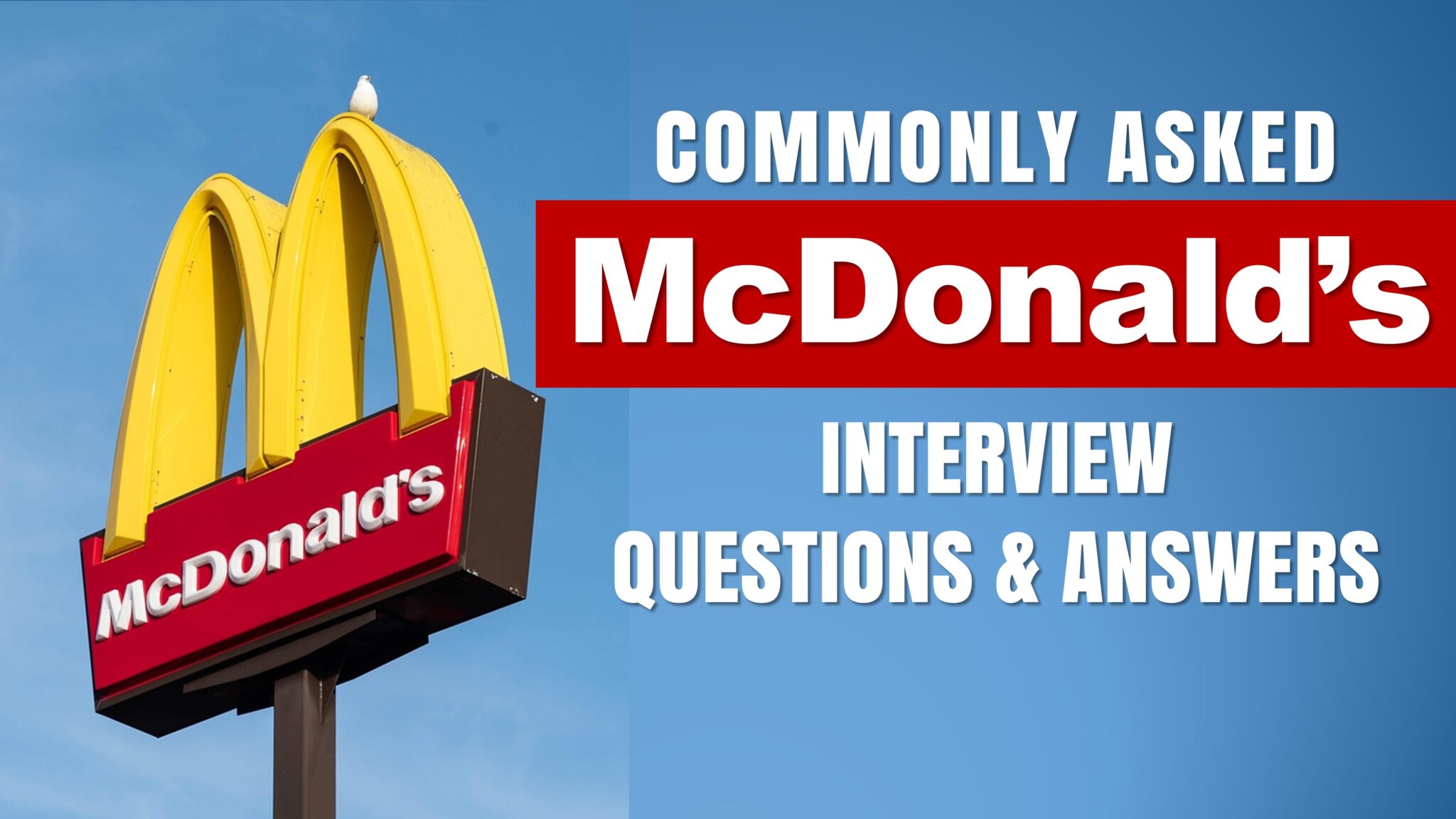 Top+ Cabin Crew Interview Questions and Answers for 2025